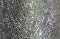 Clouston fibreglass roof work